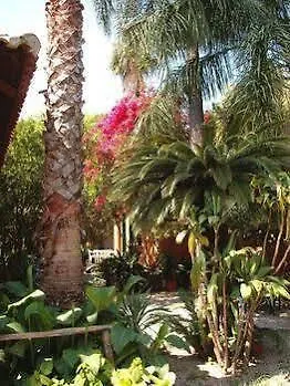 Le Palme Garden Ferienhaus *